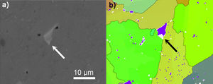 SEM images (a) and corresponding EBSD map (b) of sample sintered using SPS.