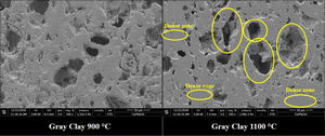 SEM image of gray clay after sintering at 900°C and 1100°C.