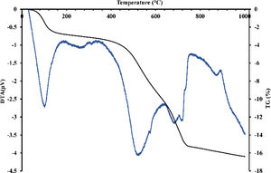 DTA-TG curves of gray clay.