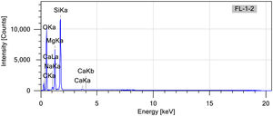 EDX for sample FL1.