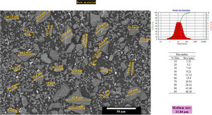 SEM micrograph of the raw material with grain size and particle size distribution.