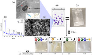 (a) Morphology of the TiO2 microspheres synthesised as observed by FE-SEM; (b) TEM micrograph of the nanoparticles that conform the TiO2 sphere. Interplanar distance of anatase and brookite are observed; (c) X-ray diffractogram of the synthesised TiO2 powder before contacting with LDPE. All diffraction maxima indexed correspond to anatase phase (#00-021-1272). The diffraction maximum of brookite phase (#00-029-1360) is marked with the symbol (*); (d) graphical representation and (e) digital photograph of LDPE–TiO2 initial experimental system. Digital photograph of LDPE–TiO2 final experimental system after 27 days in: (f) air and darkness, (g) Ar and darkness, (h) N2 and darkness, (i) air and UVA radiation environments; (j) difference in weight between the final and initial system normalised with respect to the amount of TiO2 initially added.