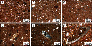 Micrografías de lámina delgada de muestras de arcillas, nícoles cruzados. A) Muestra AF-01 850°C. B) Muestra AF-01 950°C. C) Muestra AF-01 1.050°C. D) Muestra AF-03 1.050°C. E) Muestra AF-03 850°C. F) Muestra AF-02 850°C.