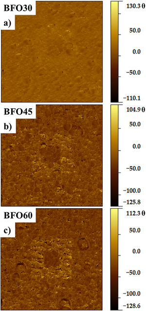 Phase PFM images of BFO thin films sintered at different times.