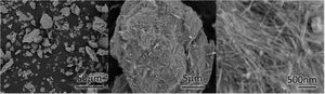 FE-SEM micrographs of additive SEPTB at different magnifications.