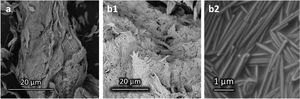 FE-SEM micrographs of sepiolite (a) and SEPTB at different magnifications (b1 and b2) thermally treated at 1000°C for 1h.