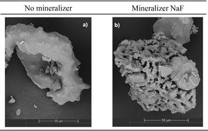 Influence on the microstructure when using mineralizer in tridymite synthesis: (a) Silica 1 sintered at 950°C, (b) Silica 1 sintered at 950°C with 4% NaF as mineralizer.