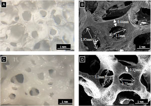 Optical images and of SEM micrographs of core scaffolds: (A) and (B) 3D[C2S] and (C) and (D) 3D[C2S/P6-P6].