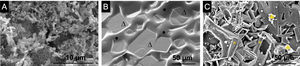 SEM micrographs of the: (A) core 3D[C2S], (B) core 3D[C2S/P6-P6] before chemical attack, (C) core 3D[C2S/P6-P6] after chemical attack [EDX: (Δ) Ca2P2O7, (•) glass, (*) calcium pyrophosphate (♣) silicon].