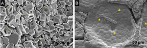 SEM micrographs of the: (A) scaffold 3D[C2S/P6-P6]C2S and (B) scaffold 3D[C2S/P6-P6]C2S-1Sr. [EDX: (*) calcium pyrophosphate, (♠) tricalcium phosphate].