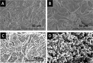 SEM micrographs after the in vitro bioactivity evaluation of the 3D[C2S/P6-P6]C2S scaffold (A) 3 days, (B) 7 days, (C) 14 days and (D) 21 days of SBF soaking.