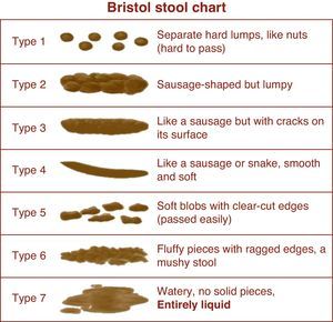 Bristol Stool Scale.