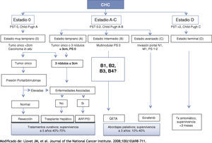 Clasificación de la BCLC (Barcelona Clinic Liver Cancer).