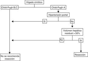 Algoritmo de resección hepática en paciente con carcinoma hepatocelular e hígado cirrótico.