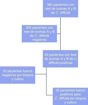 Diagrama de flujo del estudio.