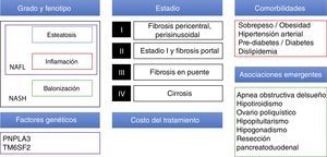 Elementos a tomar en cuenta para diseñar una estrategia terapéutica en NAFLD.