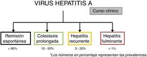Cursos clínicos de la infección por el virus de hepatitis A. Los números en porcentaje representan las prevalencias.
