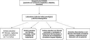 Evaluación de pacientes con sospecha de EHGNA para establecer la ausencia y/o la presencia de fibrosis.