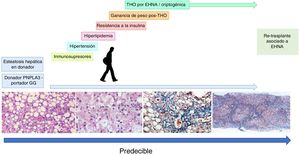 Factores asociados a recurrencia de EHNA o EHNA de novo.