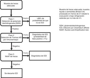 Algoritmo multipasos para el diagnóstico de ICD.