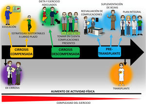Esquema general de la intervención con ejercicio y nutrición de los pacientes con cirrosis a lo largo de su evolución. El aumento de la actividad física es recomendable a lo largo de la evolución de los pacientes con cirrosis, si bien la complejidad del ejercicio debería adecuarse según la etapa de la enfermedad y las complicaciones presentes al momento de la evaluación. El plan de ejercicio debería proveer educación a los pacientes acerca del beneficio y cómo realizarlo, así como incluir una adecuada nutrición, que puede requerir el uso de suplementos como los aminoácidos de cadena ramificada (BCAA). Finalmente, para lograr estos objetivos de un programa como tal, es necesario la participación de diferentes especialistas, incluyendo médicos, nutriólogos y expertos en actividad física, quienes adecuarán el programa de acuerdo con la etapa de la enfermedad.