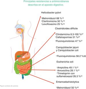 Principales resistencias a antimicrobianos descritas en el aparato digestivo. La figura muestra el porcentaje de resistencia reportada a cada antibiótico de cada microorganismo del aparato digestivo.