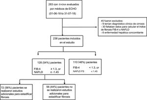 Descripción de la población de estudio en el periodo del 1 de junio al 31 de julio de 2018. ECHO: Extension for Community Healthcare Outcomes; EHGNA: enfermedad de hígado graso no alcohólico; NAFLD: siglas en inglés para EHGNA; NAFLD FS: score NAFLD de fibrosis (siglas en inglés).
