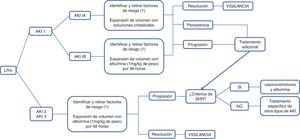 Algoritmo de manejo de la LRA en pacientes con CH. a Suspender diuréticos, betabloqueadores y fármacos nefrotóxicos como antiinflamatorios no esteroideos y vasodilatadores. Manejo temprano de infecciones bacterianas. LRA: lesión renal aguda; SHR: síndrome hepatorrenal.