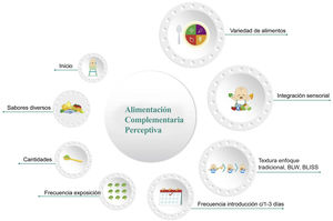 Componentes de la alimentación complementaria perceptiva.