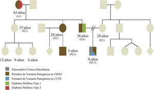 Se describe a los familiares con manifestaciones de diabetes mellitus tipo 1 y pancreatitis, así como a los familiares asintomáticos. El caso del propósito presenta una evolución tórpida al ser portador no solo de la duplicación en PRSS1, sino también de una variante heterocigota en CFTR, con lo que se espera tenga una expresión y una progresión tórpidas.