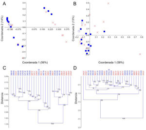 Gráficos PCoA y árboles UPGMA utilizando distancias UniFrac no ponderadas y ponderadas. Gráficos PCoA usando distancias no ponderadas (A) y ponderadas (B), árboles UPGMA usando distancias no ponderadas (C) y ponderadas (D). En A y B, las muestras de línea de base están representadas por cuadrados azules llenos y las muestras finales por una X roja. La muestra que se procesó por duplicado (S19, línea de base) se muestra con un símbolo diferente (cuadrados azules vacíos) para una mejor visualización. Los árboles se construyeron utilizando 10,000 muestras de arranque. El índice de similitud Euclidiana se utilizó para todas las gráficas en PAST v. 3.25.