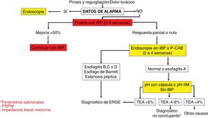 Algoritmo diagnóstico en pacientes con síntomas típicos de enfermedad por reflujo gastroesofágico o dolor torácico no cardiaco. IBP: inhibidores de la bomba de protones; P-CAB: bloqueadores de ácido competitivos del potasio; pH-IIM: catéteres de pH combinados con anillos de impedancia intraluminal; TEA: tiempo de exposición al ácido; PSPW: onda peristáltica inducida por deglución después de reflujo.