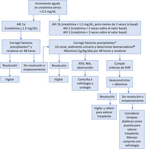 Valoración y manejo de la lesión renal aguda en pacientes con cirrosis65,66. AKI: lesión renal aguda; ELISA: ensayo por inmunoabsorción ligado a enzimas; NIA: nefritis intersticial aguda; NTA: necrosis tubular aguda; SHR: síndrome hepatorrenal; US: ultrasonido. * Retirar diuréticos, beta bloqueadores no selectivos, analgésicos antinflamatorios no esteroideos, otros nefrotóxicos. Tratar infecciones. Restitución de volumen intravascular. & Los mejores valores de corte para la lipocalina asociada a gelatinasa neutrofílica (NGAL) con el fin de diferenciar entre la NTA y otros tipos de AKI, incluyendo el SHR-AKI, son 365ng/ml y 220μg/g de creatinina para las técnicas de ELISA y turbidimetría mejorada por partículas, respectivamente. Una fracción de excreción de sodio (FENa) <1% puede sugerir SHR. Modificado de Flamm et al.66 y de Biggins et al.67.