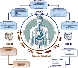 Manejo farmacológico del síndrome de intestino irritable en México. * Los probióticos se consideran como una terapia adyuvante. ** Se puede utilizar como tratamiento de primera línea y repetir según sea necesario si hubo mejoría. En caso de no responder al primer tratamiento no se recomienda repetir. *** En los casos con síntomas moderados a intensos, la linaclotida pudiera considerarse como una terapia de primera línea debido a su efecto antinociceptivo.