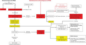 Algoritmo diagnóstico y terapéutico de la ERGE.