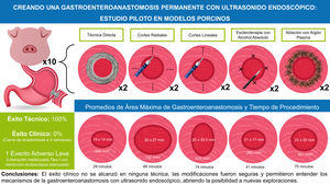 Diferentes diámetros obtenidos en la gastroenteroanastomosis, de acuerdo a la técnica realizada en modelos animales.