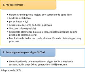 Criterios diagnósticos MCGG. Fuente: adaptada de Anderson et al.5 y Vallaeys et al.7.