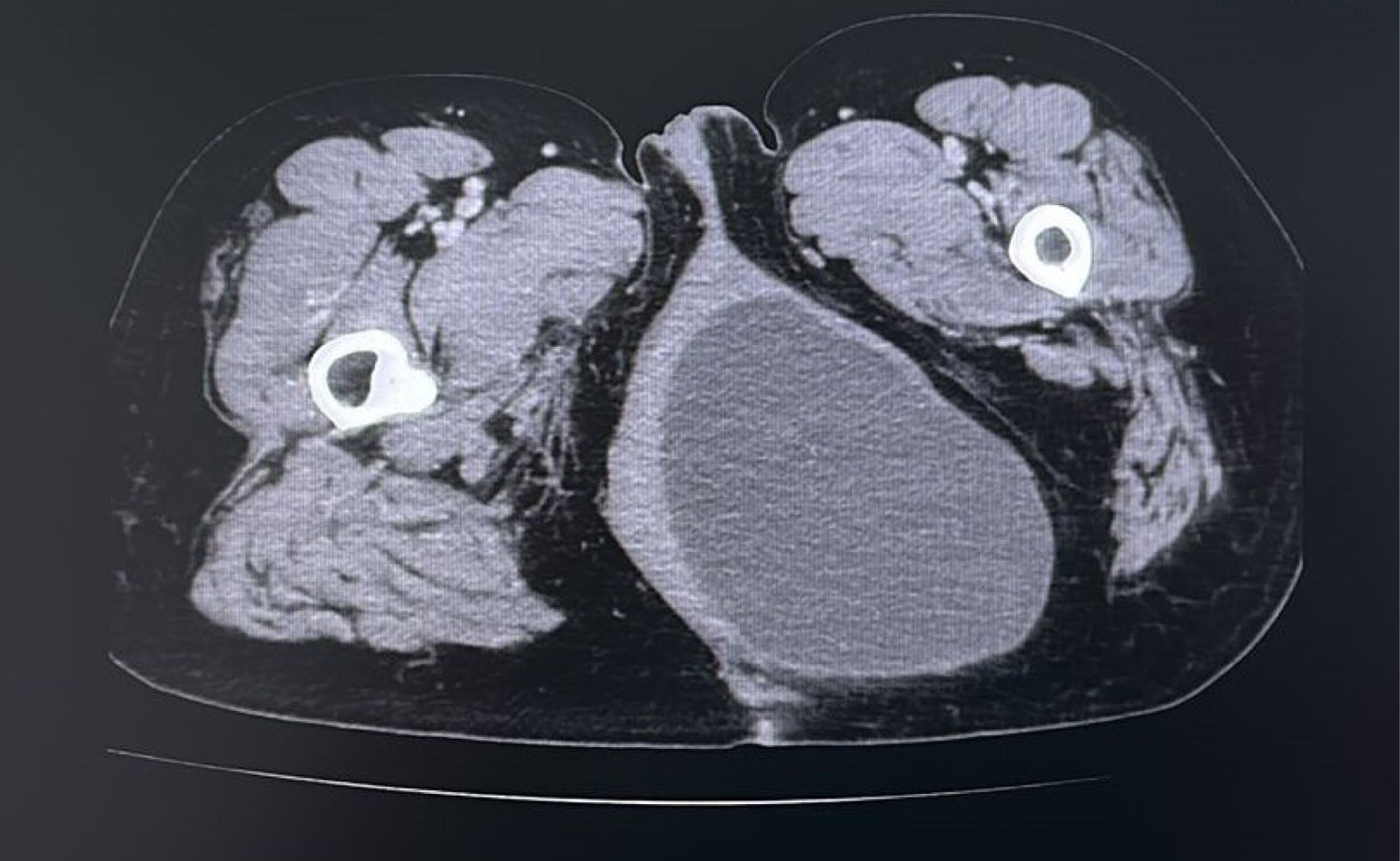 fig0005