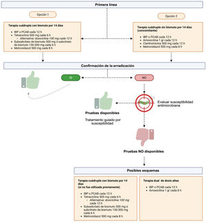 Algoritmo de tratamiento para erradicación de infección por H. pylori en México. Creado en BioRender.