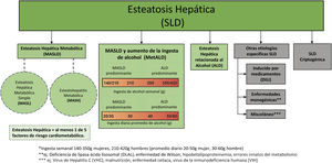 Subclasificación de la esteatosis hepática (SLD). Fuente: Kanwal et al.1. Adaptada de: Rinella et al.3–5.