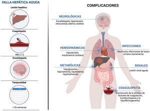 Complicaciones sistémicas en falla hepática aguda. Creada con BioRender.com