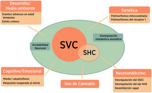 Posibles mecanismos fisiopatológicos del SVC. Los datos actuales sugieren que el SVC se explica por una combinación de factores genéticos y del huésped que conducen a la emesis. Se cree que el SHC es un subconjunto del SVC y puede explicarse por el desarrollo de síntomas en individuos genéticamente predispuestos. SHC: síndrome de hiperémesis cannabinoide; SVC: síndrome de vómitos cíclicos; SSEC: sistema de señalización endocannabinoide; HHS: eje hipotalámico-hipofisario-suprarrenal. * Figura adaptada de la referencia 67.