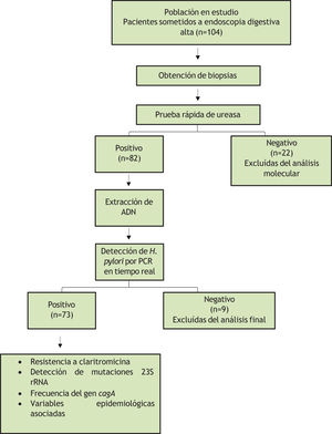 Diagrama de flujo de la selección y análisis de las muestras clínicas.