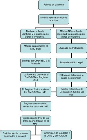 Procedimiento general de manejo y notificación de fallecimientos en España.