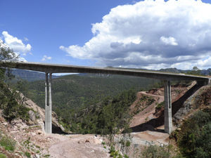 Puente Paso de Piedra. Vista general del puente.
