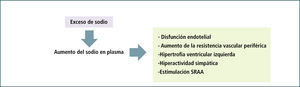 Exceso De Sodio. Alteraciones Independientes De La Expansión De Volumen Efectos directos e indirectos del aumento de la concentración del sodio plasmático en el desarrollo de hipertensión arterial. En el recuadro. (SRAA: sistema renina- angiotensina- aldosterona).
