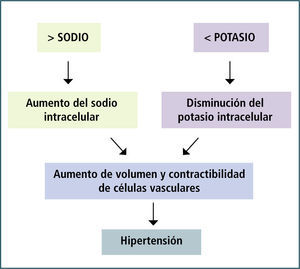 Sodio, Potasio E Hipertensión El exceso de sodio y el déficit de potasio en la alimentación, alteran la composición electrolítica celular, comprometiendo al endotelio y a las células musculares vasculares para determinar hipertensión.