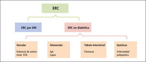 Clasificacion de las causas comunes de ERC (y ejemplos seleccionados)