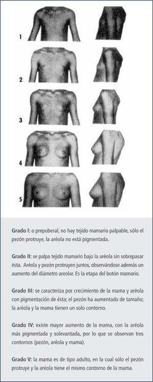 Secuencia de etapas del desarrollo de los caracteres sexuales de la mama en sexo femenino.
