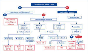 Pubertad precoz en niños. diagnóstico